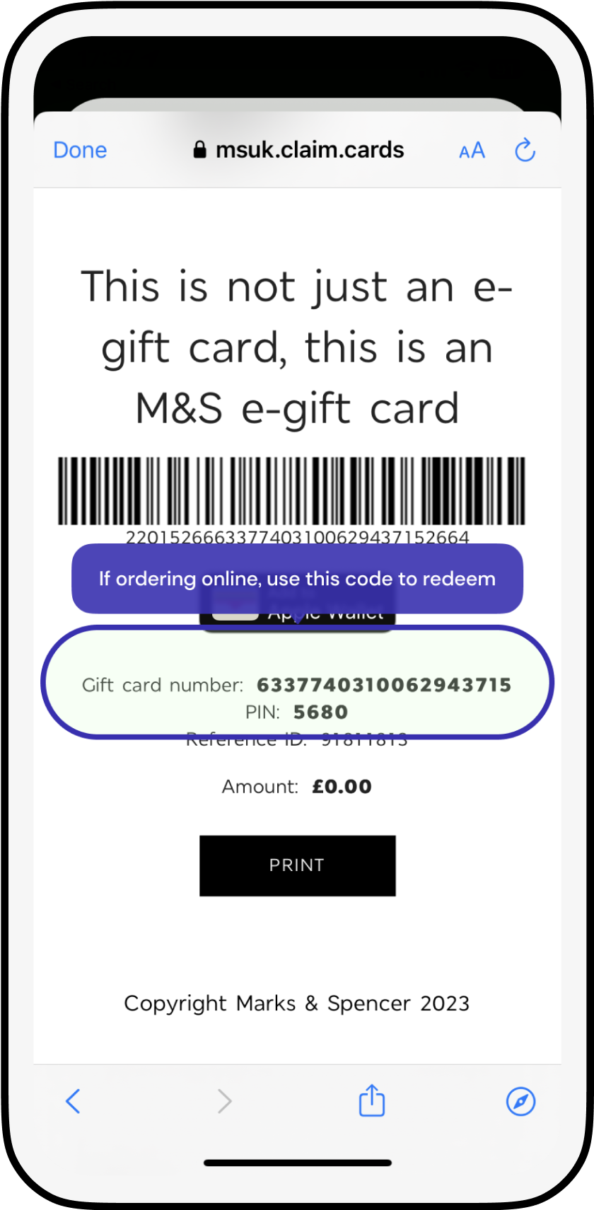 m&s4-framed.png